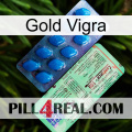 Gold Vigra new02